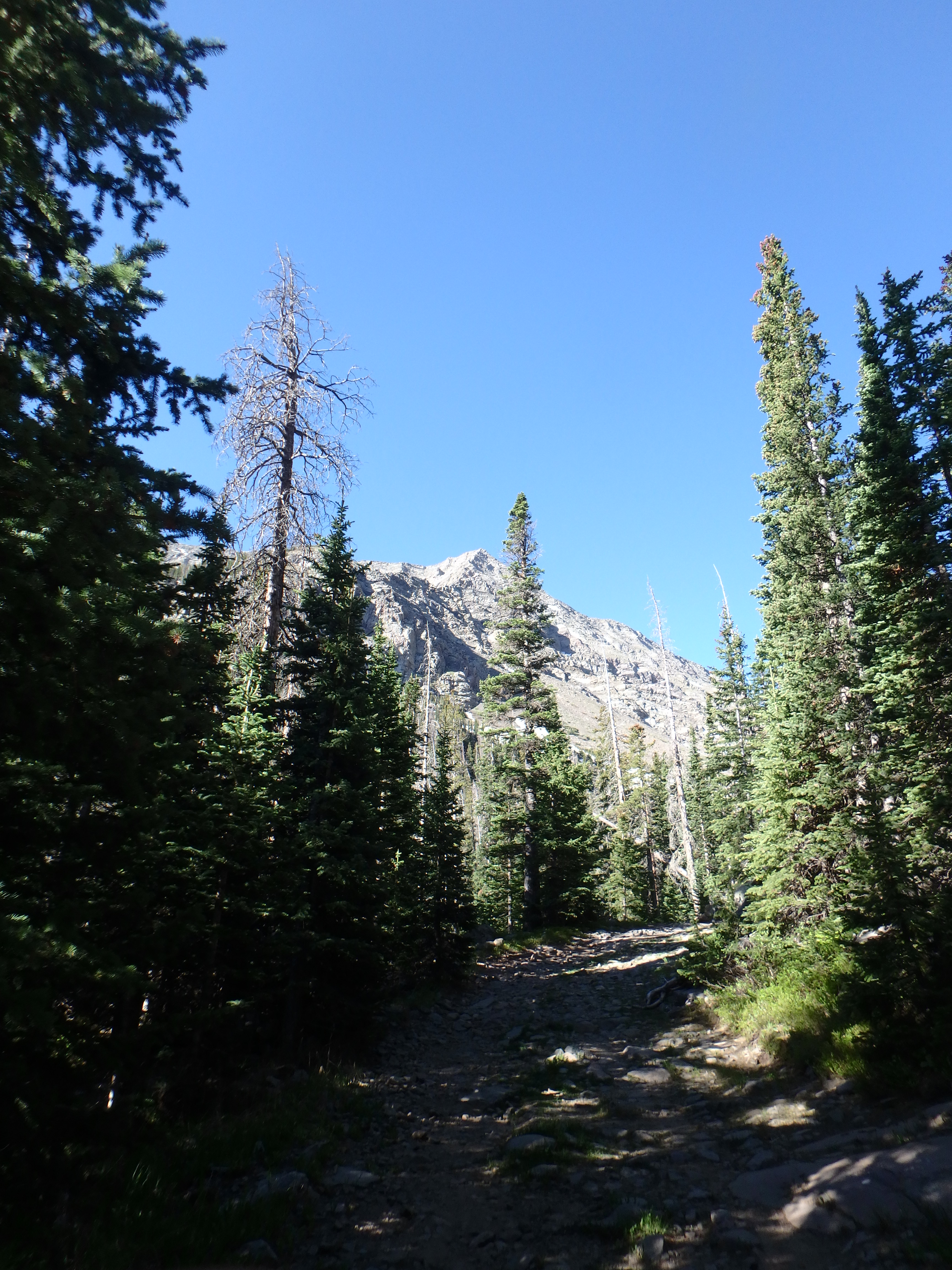 Trail view