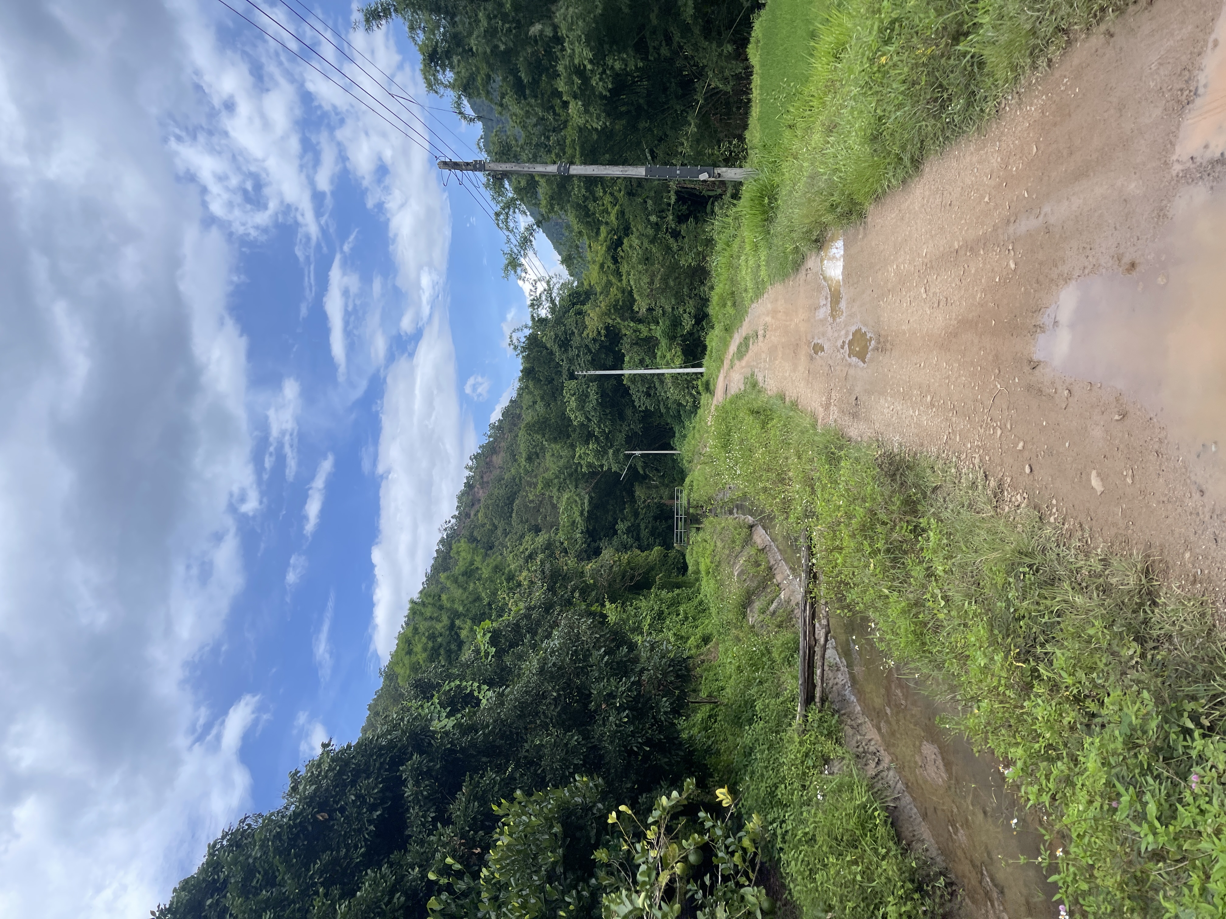 Trailhead
