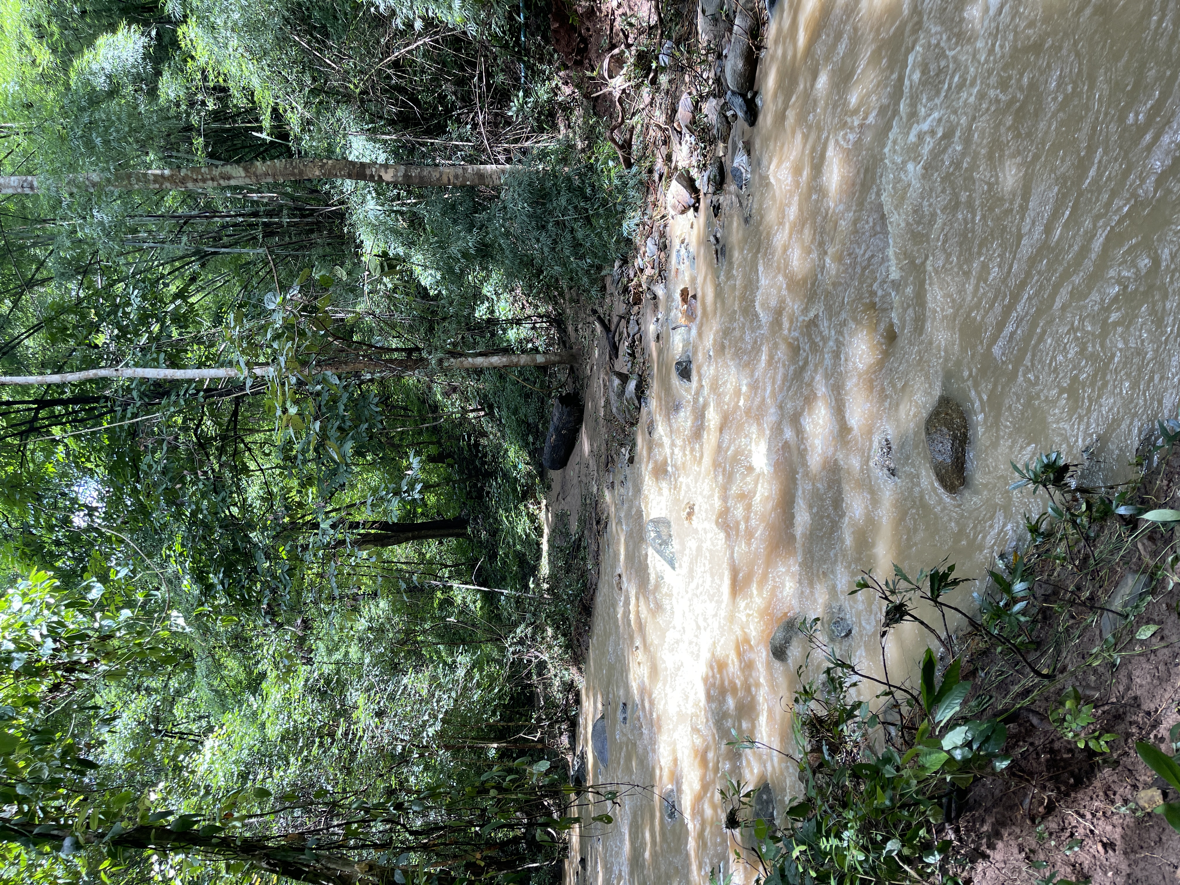 River crossing 2