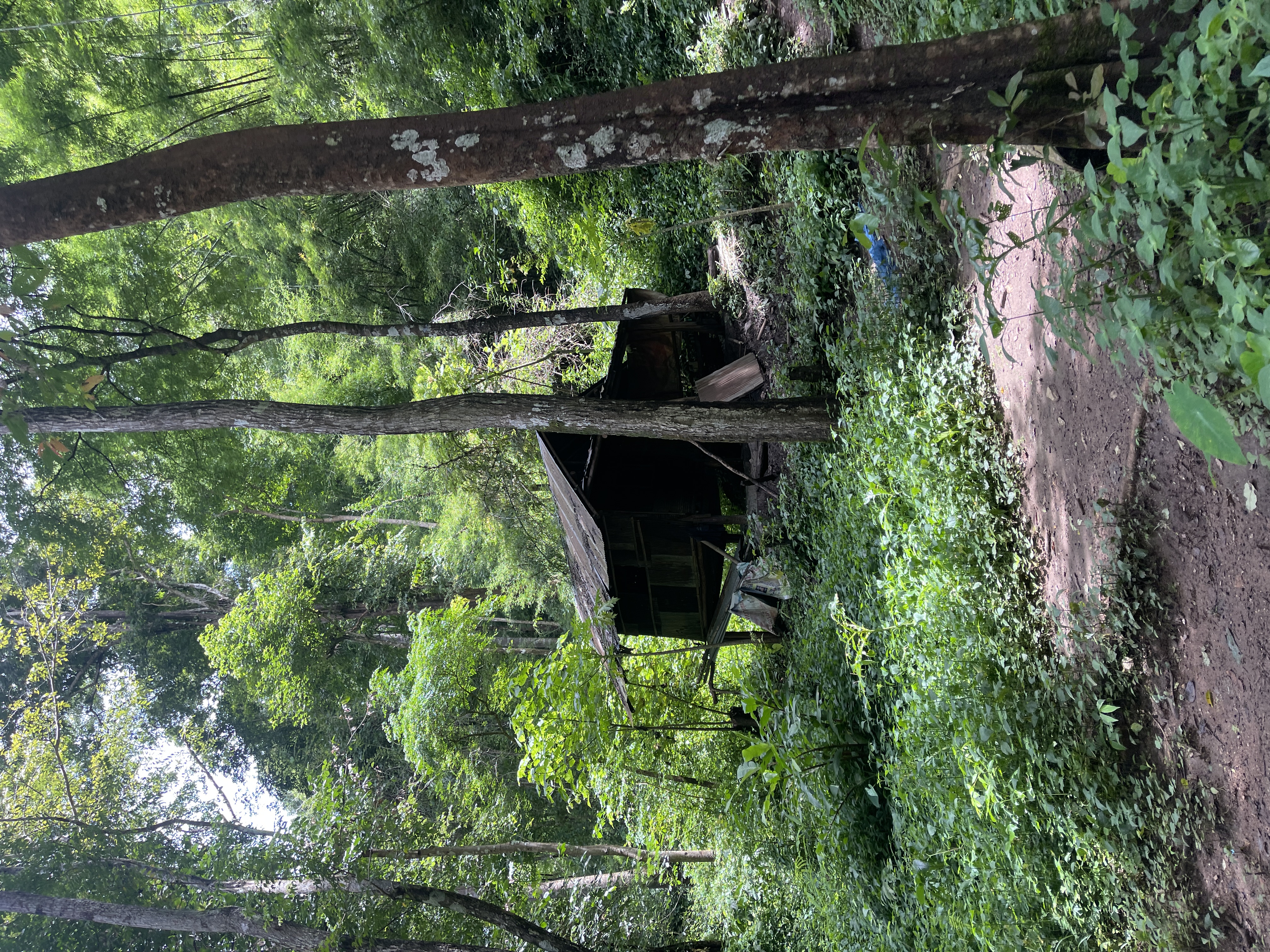 Shack