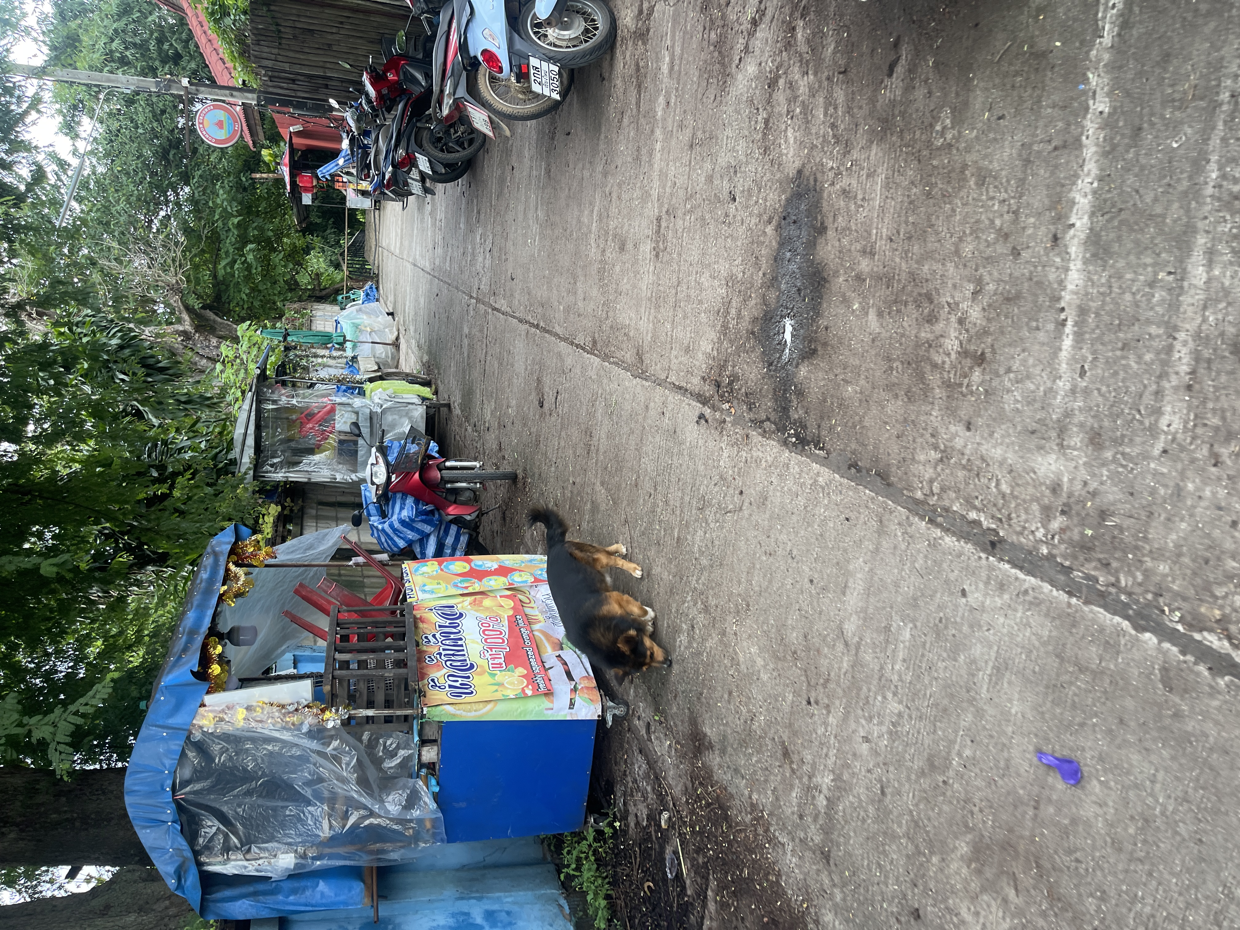 Hostel alley