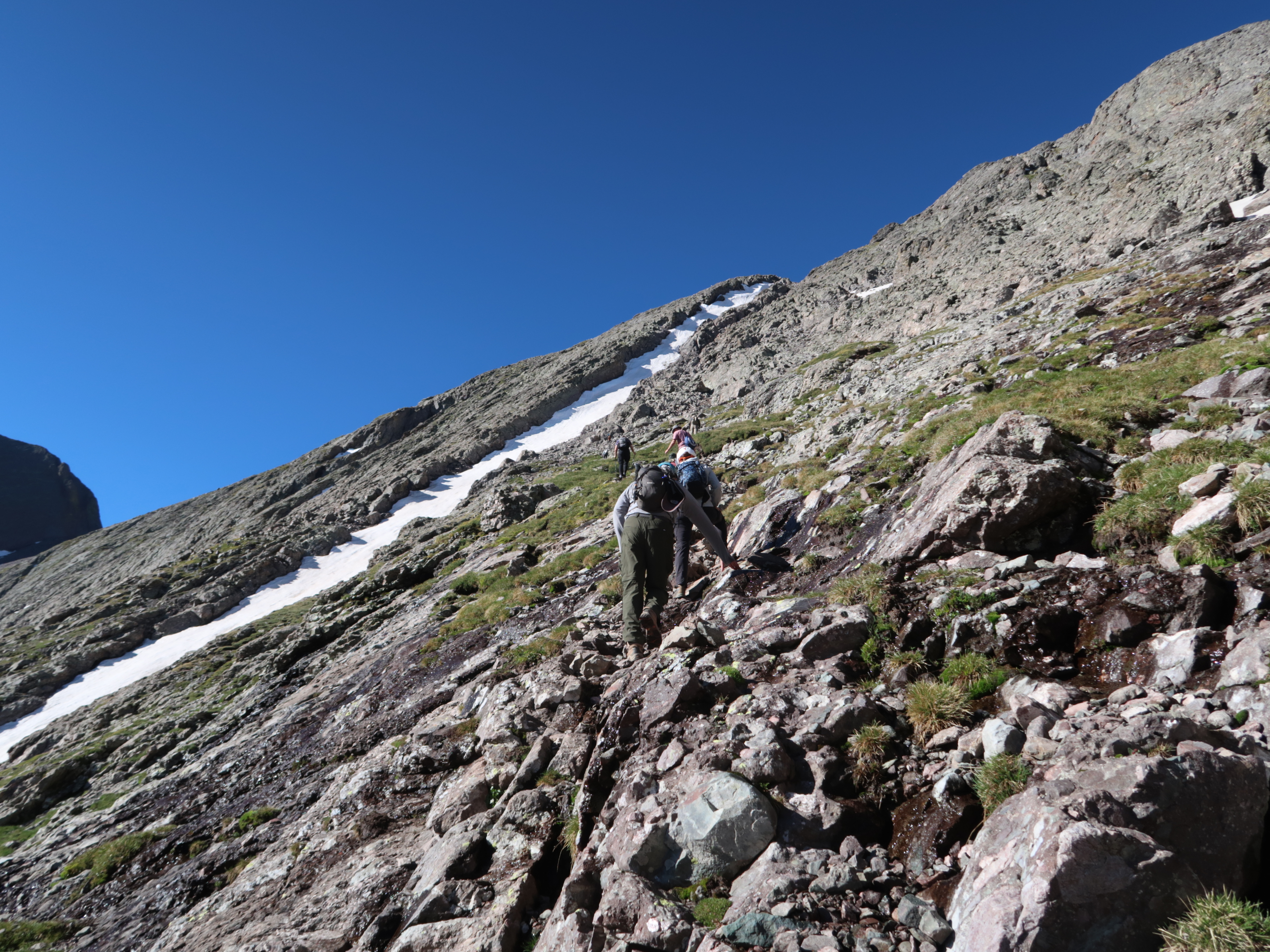 Terrain