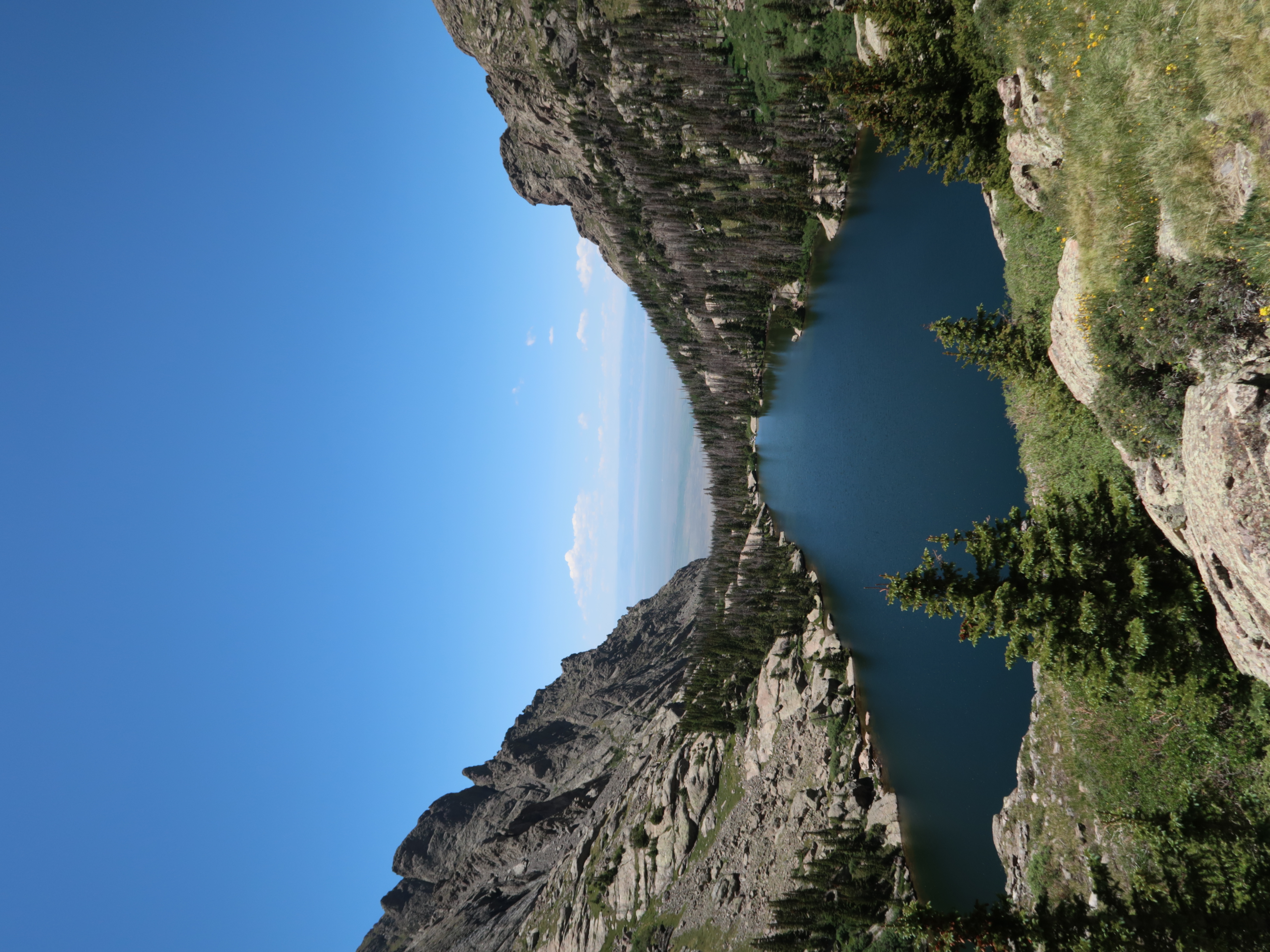 Willow Lake portrait