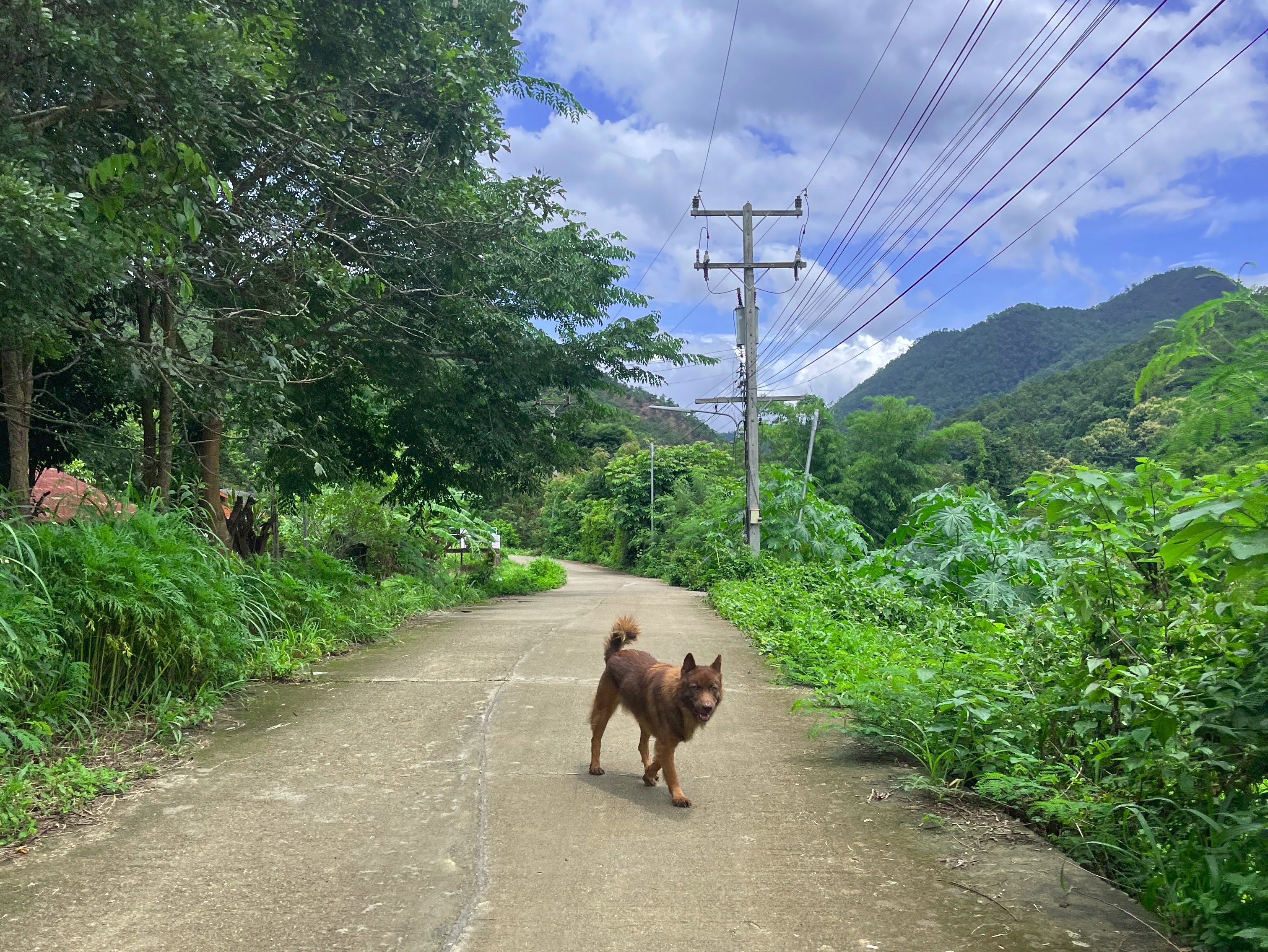 Description of post