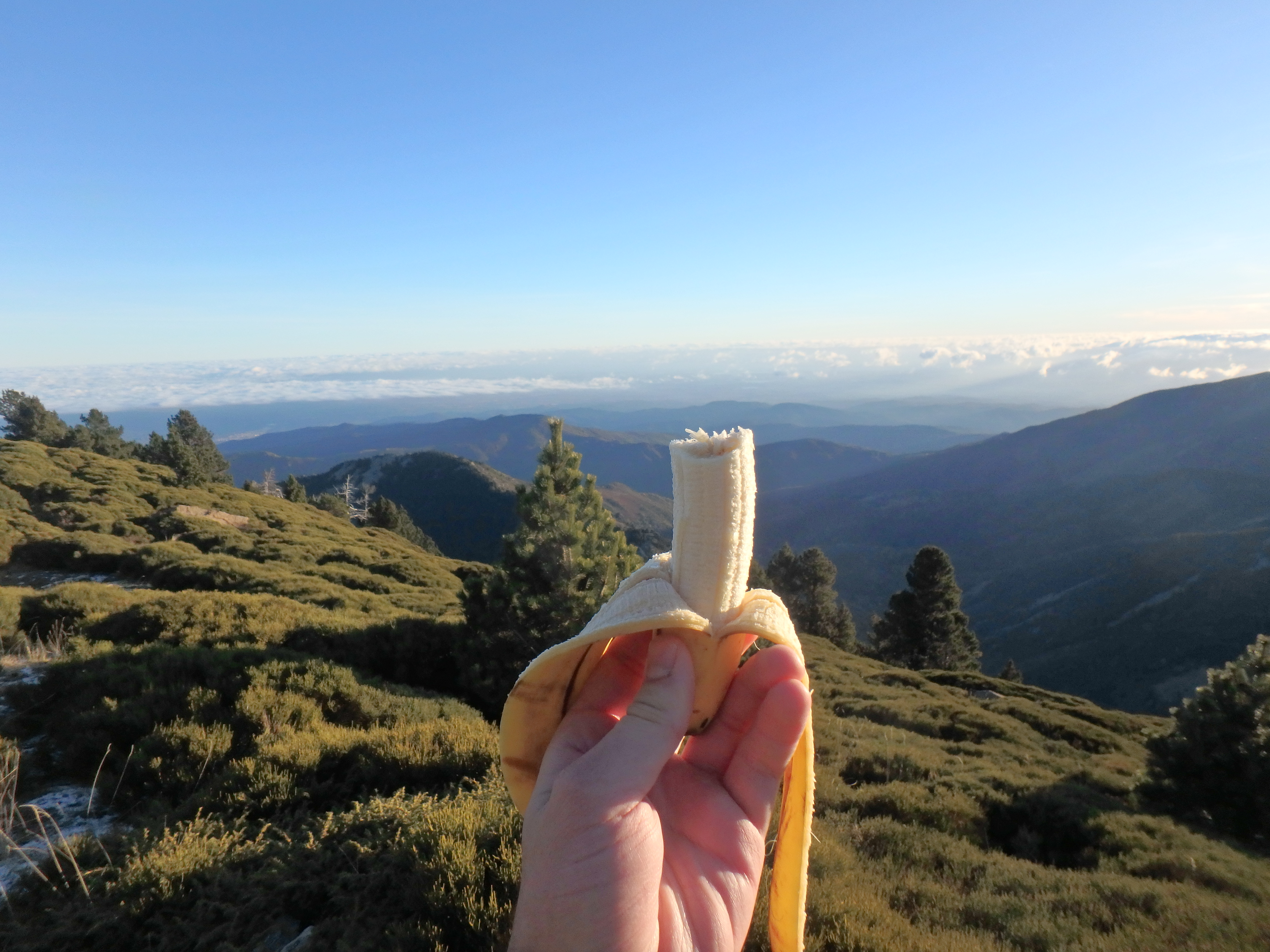 Banana view