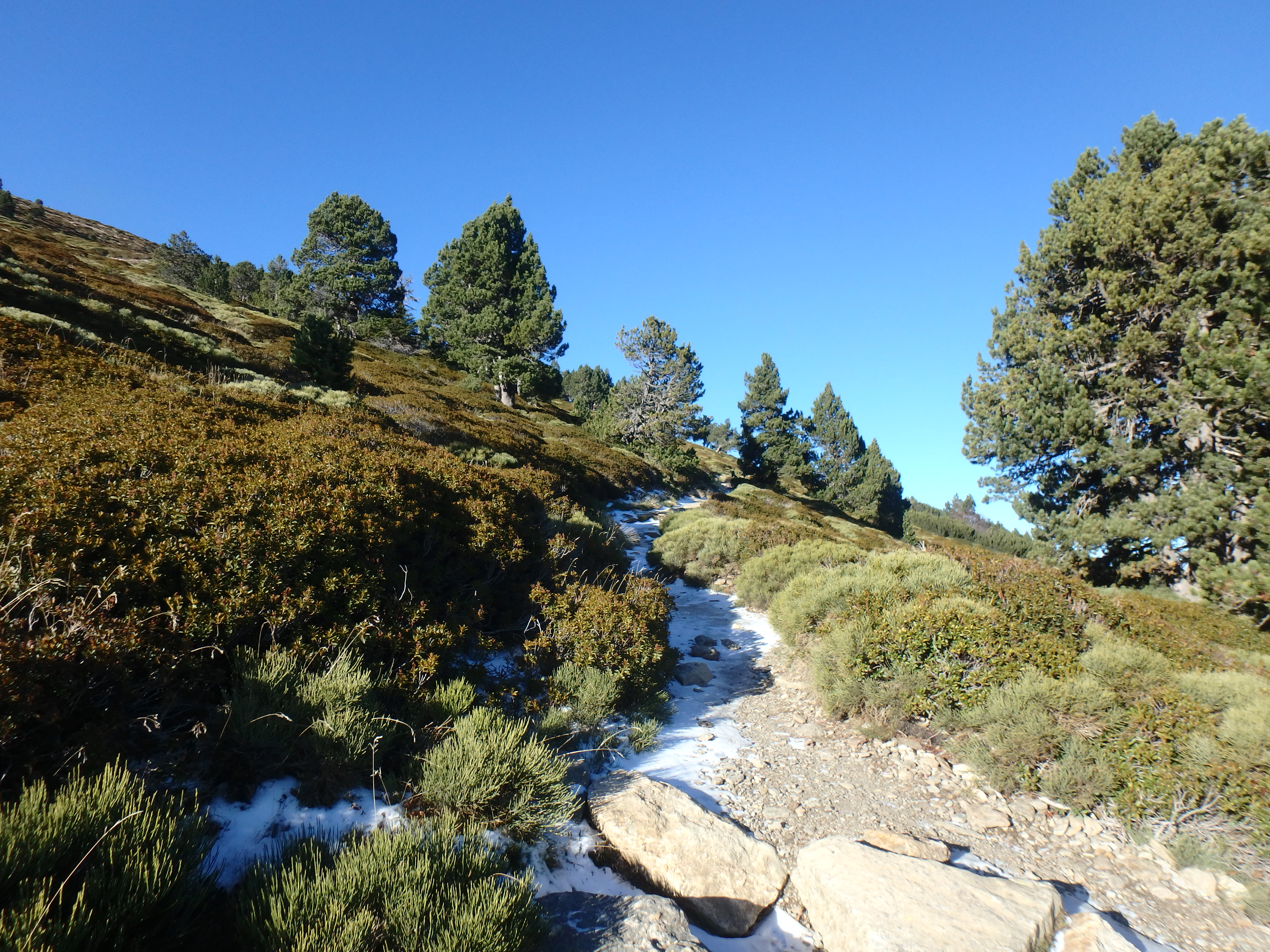 Trail view