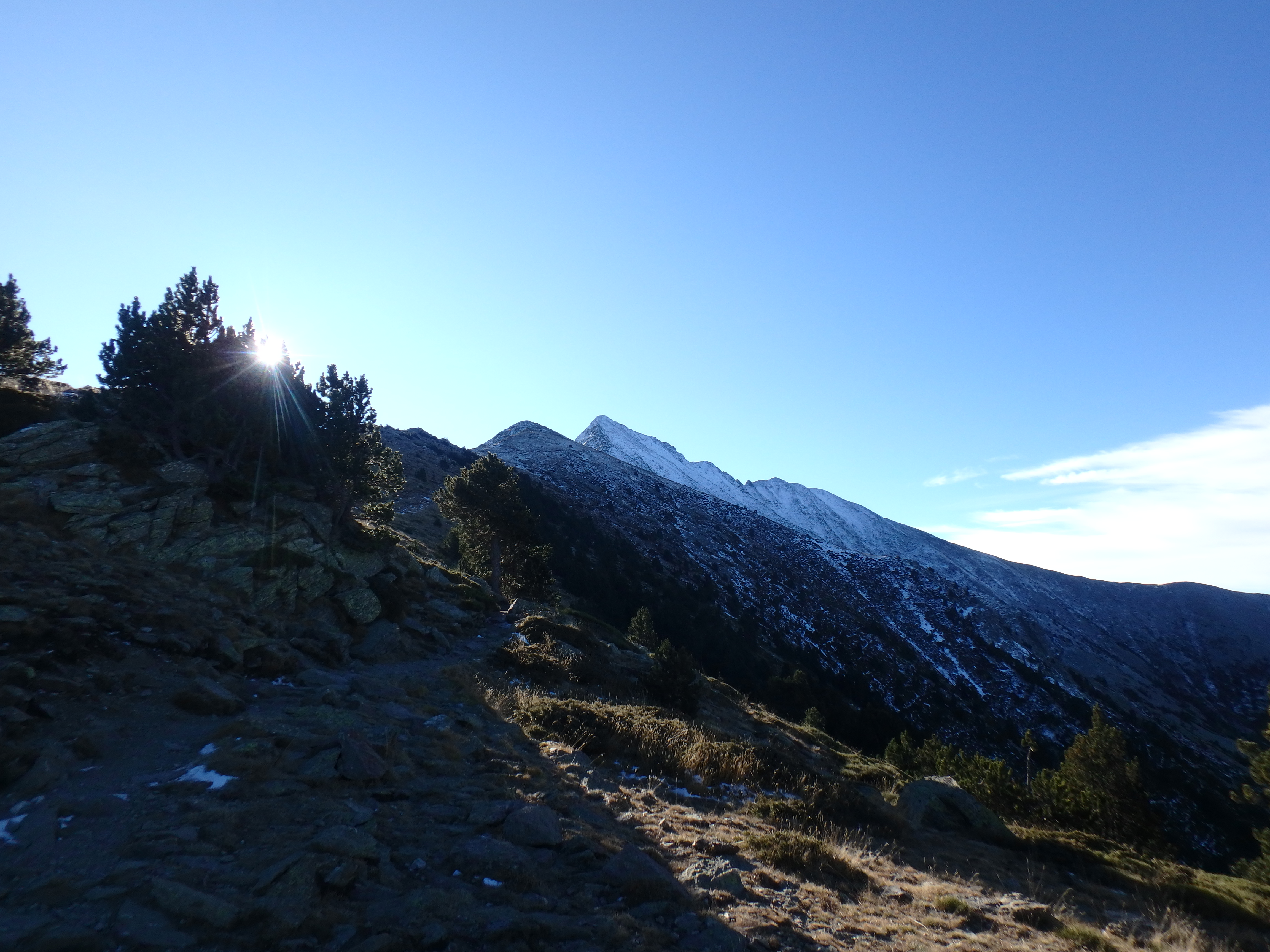 Trail view