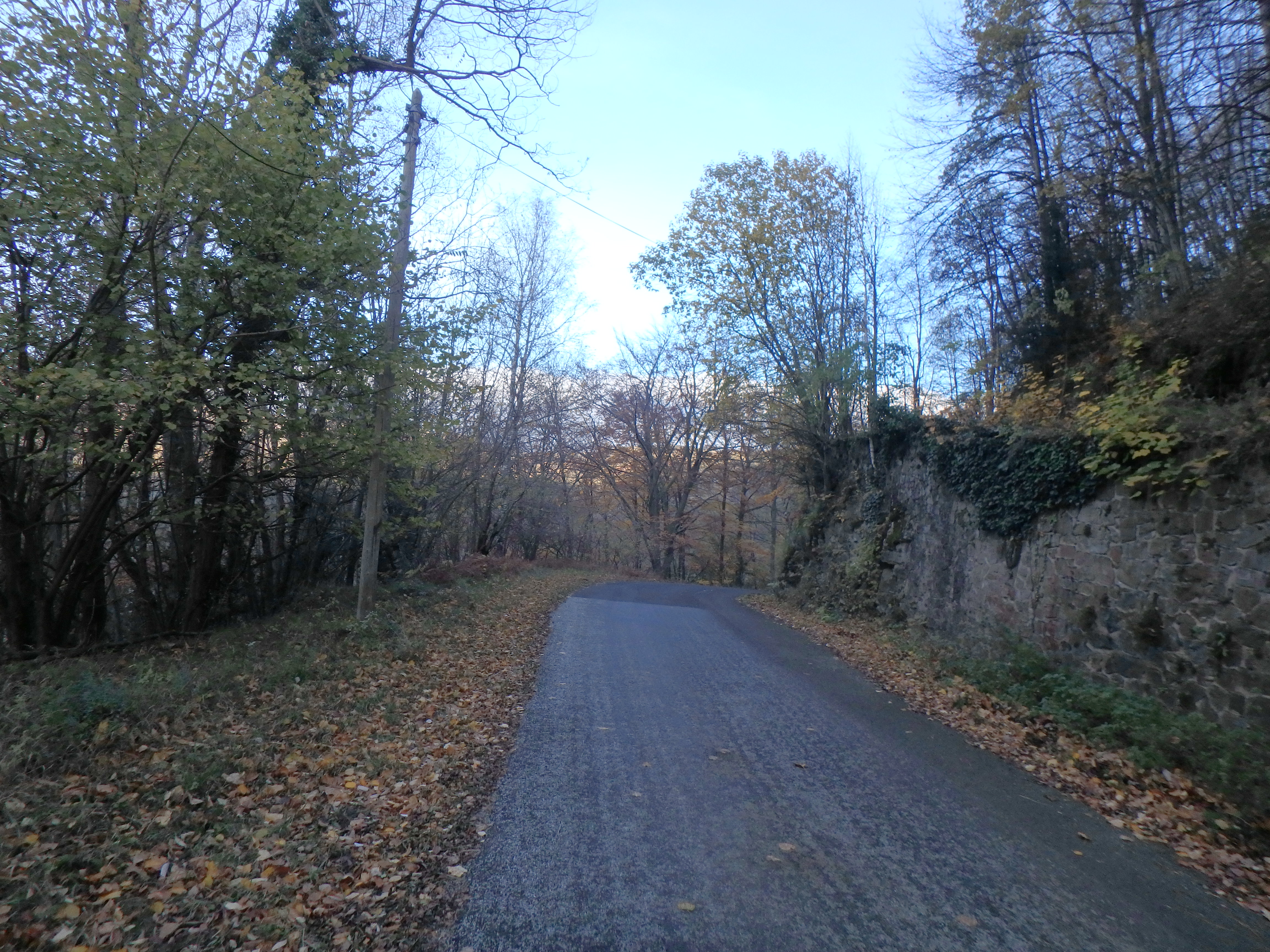Main road